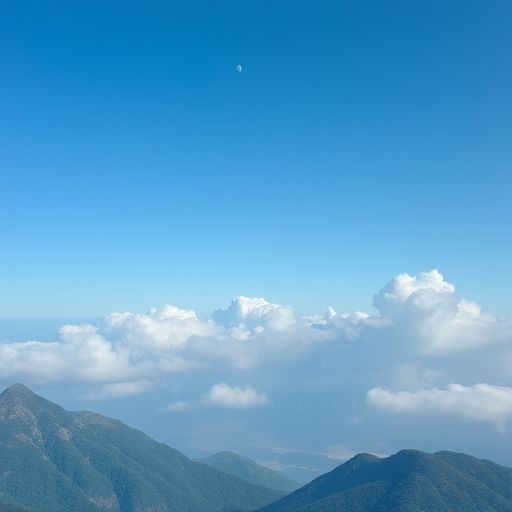 佛山葵花蒲典桑拿网手机界面